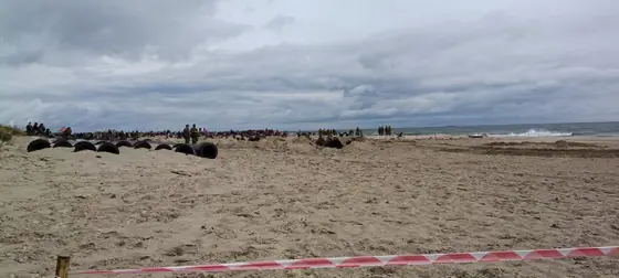 D-Day Hel 2026 — zdjęcie 23 z 24