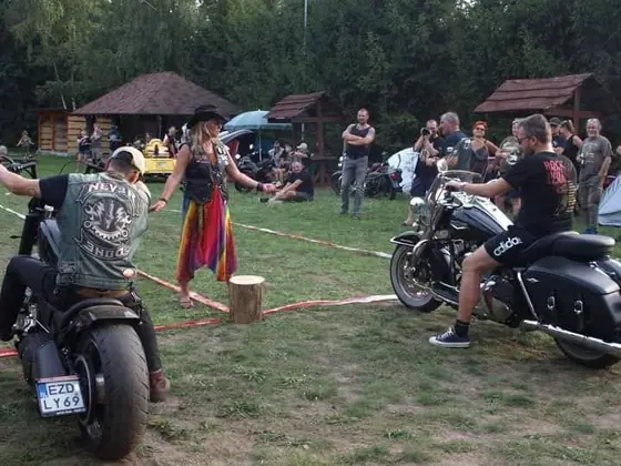 Zlot Miłośników Żelastwa — Lutomiersk 2023 — zdjęcie 13 z 78