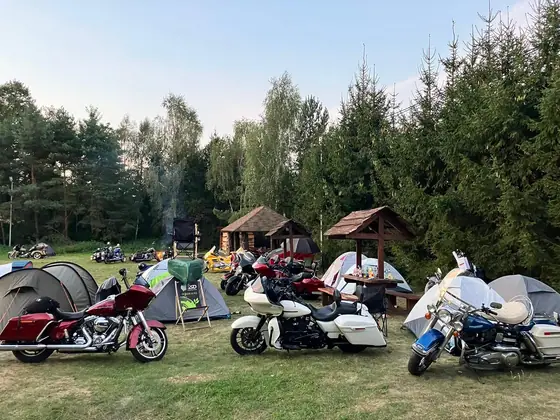 Zlot Miłośników Żelastwa — Lutomiersk 2024 — zdjęcie 49 z 72