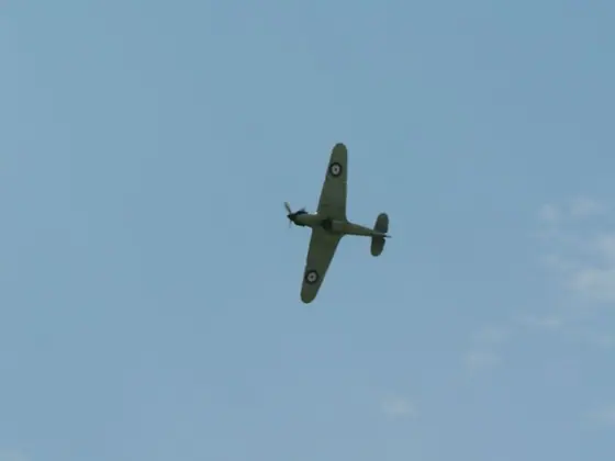 Zlot u Miłosza Sobolewskiego w 2010 r. — zdjęcie 46 z 48