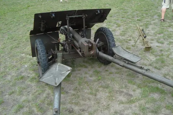 Piknik Militarny Łódź 2016 — zdjęcie 9 z 12
