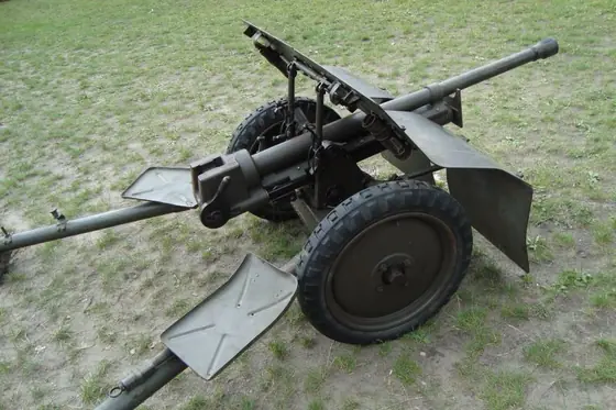 Piknik Militarny Łódź 2016 — zdjęcie 10 z 12