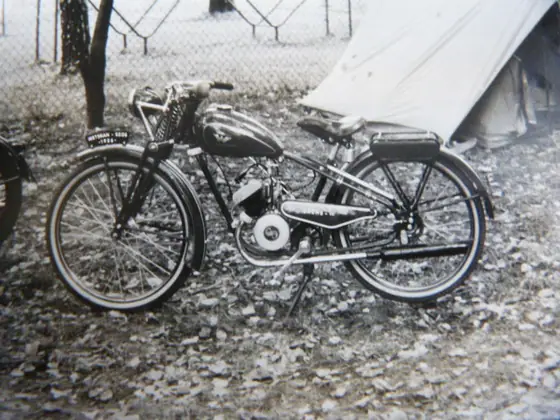 Prehistoria — zdjęcie 265 z 390