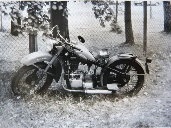 Prehistoria — zdjęcie 271 z 390