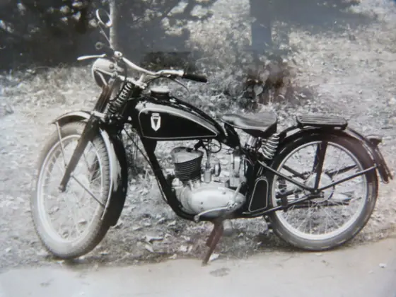 Prehistoria — zdjęcie 280 z 390