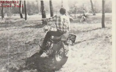 Prehistoria — zdjęcie 340 z 390