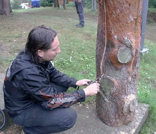 40 Lat Number One - zlot 2012 — zdjęcie 286 z 334