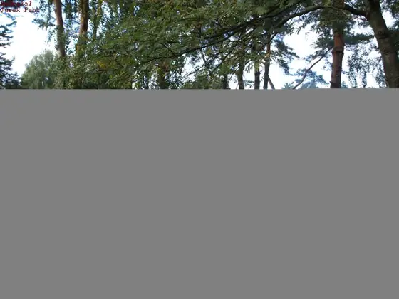 Zakończenie sezonu - 2021 — zdjęcie 13 z 17
